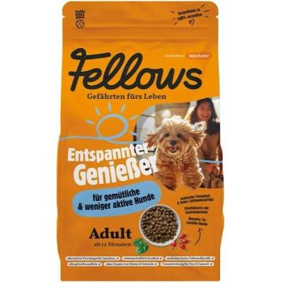 Fellows Pohodový gurmán hmyzí 8 kg