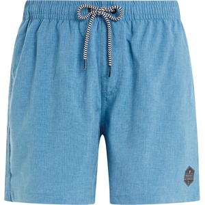 Protest Мъжки бански слипове Protest PRTDavey Swim brief - River Blue (050-0836-1212)
