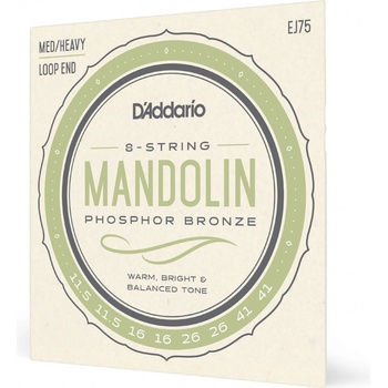 D'addario EJ75