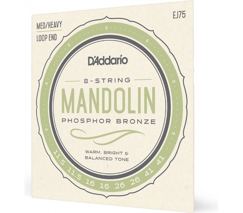 D'addario EJ75