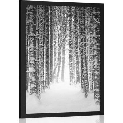 Plakát les zahalený sněhem v černobílém provedení - 60x90 no frame