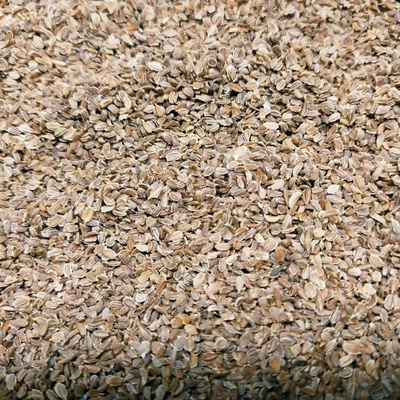 Microgreens Mrkva na mikrozeleninu 50 g