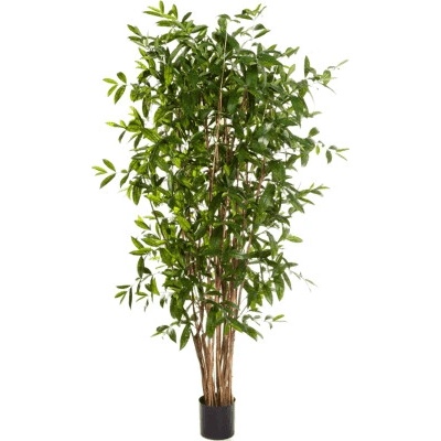 Umelá rastlina Dracaena surculosa branched 90 cm
