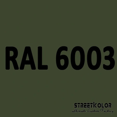 RAL 6003 uretánová auto farba lesklá alebo matná 1 liter + tužidlo + riedidlo