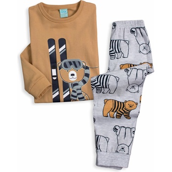 Kyly Medvěd hnědé