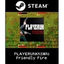 PLAYERUNKN1WN: Friendly Fire