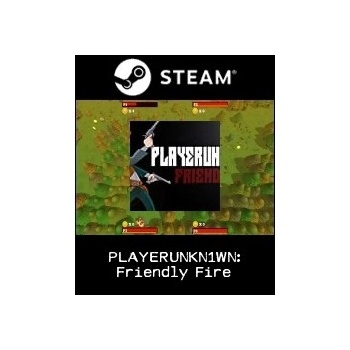PLAYERUNKN1WN: Friendly Fire