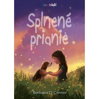 Splnené prianie - Barbara O´Connor