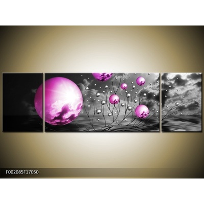 Moderní obraz F002085F17050 (Třídílný 170x50 cm)