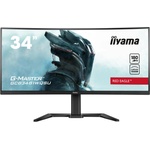 iiyama G-MASTER GCB3481WQSU-B1 Монитори