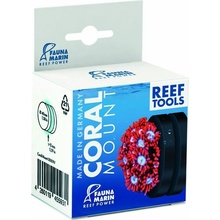 Fauna Marin Coral Mount 4 cm
