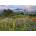 Heye - Puzzle Tatoosh Mountains 2000 - 2 000 piese