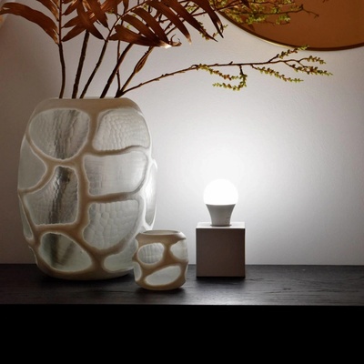 Calex Smart LED sada 2 ks 5001002750