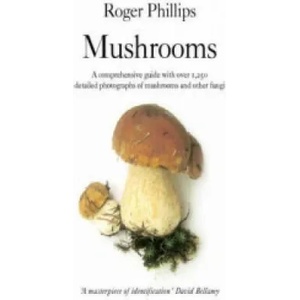 Mushrooms (2006)