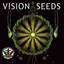 Vision Seeds Ak-49 Auto 0% THC Balenie: 3 ks