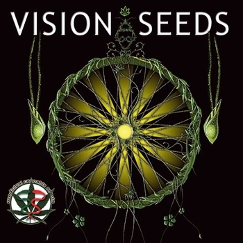 Vision Seeds Vision Kush AutoFem 0% THC Balenie: 3 ks