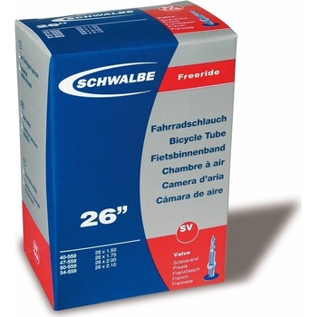 Schwalbe SV