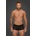 Noir Handmade H072 Leopard Flock Short-Shorts XXL