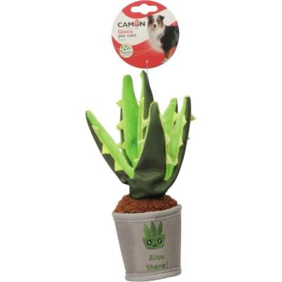 Camon Garden aloe vera 24 cm