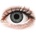Alcon Air Optix Colors Sterling Gray 2 pcs without diopter