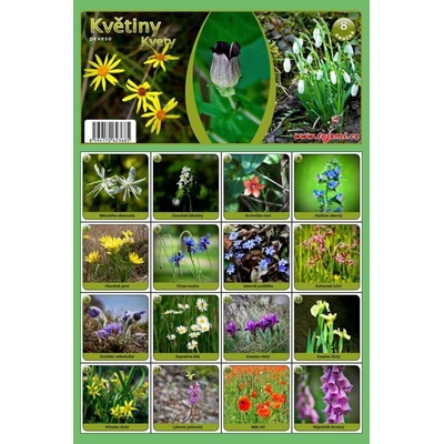 Artline Pexeso: Květiny