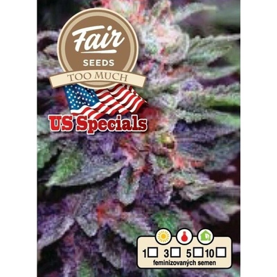 Fair Seeds Too Much semena neobsahují THC 10 ks
