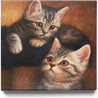 KRAFTHOUSE.EU Koťátka Bráškové – obraz na plátno Premium Canvas | 100% bavlna | Různé rozměry Velikost: 50 x 50 cm