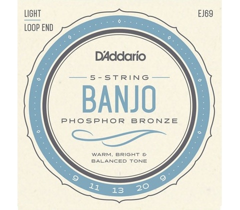 D'addario EJ69