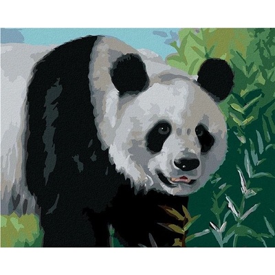 zuty Malování Podle Čísel Panda D. Rusty Rust 40 x 50 Cm Plátno Rám