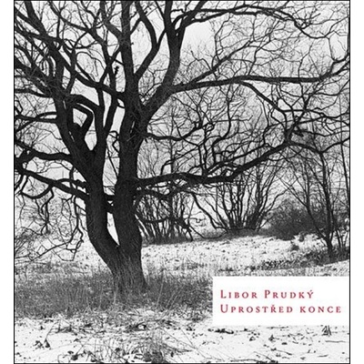 Uprostřed konce - Libor Prudký