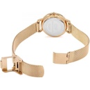 Image 1 of Daniel Wellington DW00100219