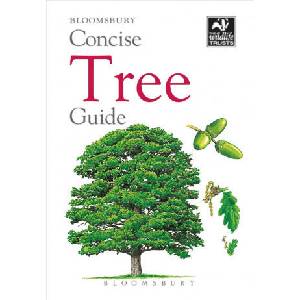Concise Tree Guide | Bloomsbury (ISBN: 9781472963796)