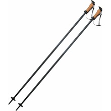 Zjazdové palice Elan Speedrod Black 21/22