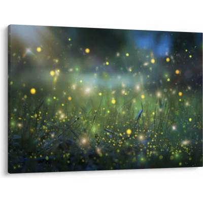 Obraz - Kouzelná noc, jednodílný 100x70 cm – Hledejceny.cz