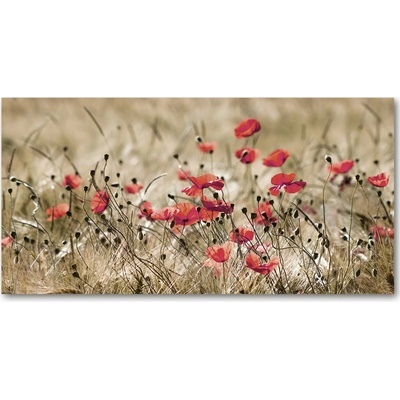 Fotoobraz na skle maky 100x50 cm
