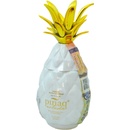 Piñaq Colada Liqueur 17% 1 l (čistá fľaša)