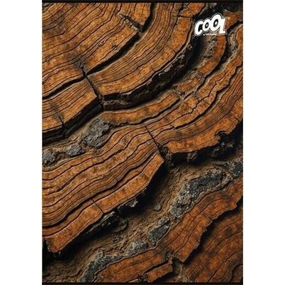 COOL BY VICTORIA Zošit A4 štvorčkový Wood Rock