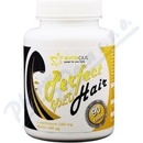 Perfect Hair gold methion 500 mg Biotin100ug 90 tabliet