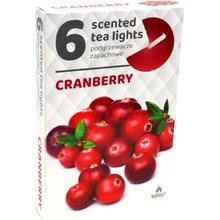 Admit Tea Lights Cranberry 6 ks