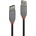 Lindy Кабел LINDY LNY-36693, от USB A(м) към USB A(м), 2m (LNY-36693)