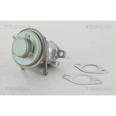 AGR - Ventil TRISCAN 8813 15029