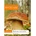 Seklos Мицел за Манатарка (Boletus edulis)