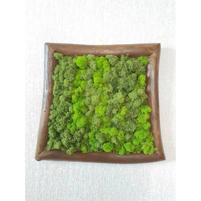 Mechový obraz v asymetrickém rámu 40cm x 45cm