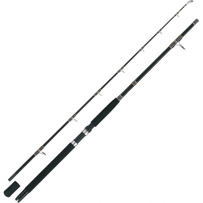 WFT OCEANIC PRO TIDECUTTER 2,1 m 200-700 g 2 díly