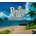 Pirate Cove Simulator