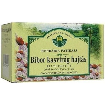 Herbária Echinacea kvitnúca vňať porciovaný čaj 20 x 1,5 g