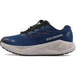 Salomon Aero Blaze 4 GRVL (30546)