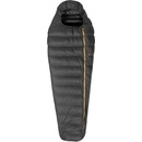 Patizon R 300