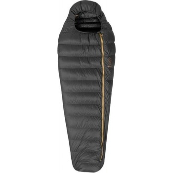 Patizon R 300