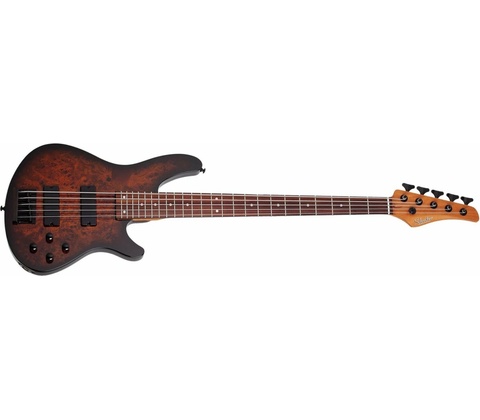Schecter C 5 S